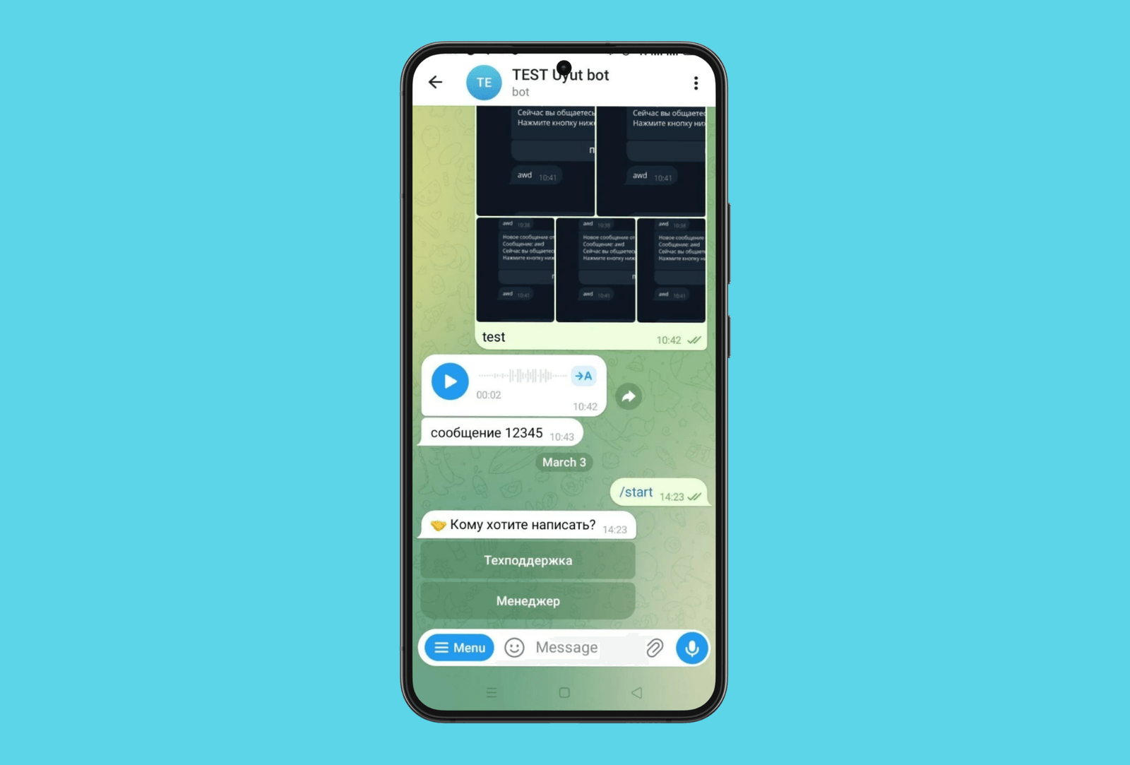 Выбор темы обращения и ввод ИНН в Telegram